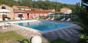 een zwembad in een tuin met stoelen en parasols bij Country House Il Vecchio Frantoio in Monteleone dʼOrvieto