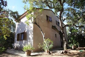 une maison blanche avec un arbre en face dans l'établissement Mini villa Erbalunga, Santa Giulia, à Porto-Vecchio