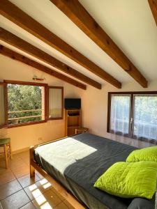 - une chambre avec un grand lit et des oreillers verts dans l'établissement Mini villa Erbalunga, Santa Giulia, à Porto-Vecchio