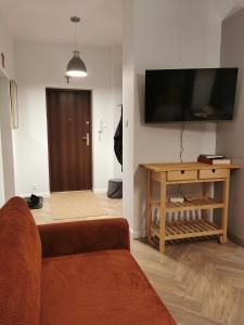 ein Wohnzimmer mit einem Sofa und einem Flachbild-TV in der Unterkunft Apartament Pod Lipami in Olsztyn