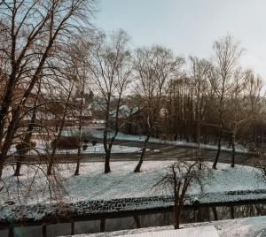 a snow covered park with trees and a fence at Apartman Vista in Daruvar