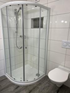 La salle de bains est pourvue d'une cabine de douche et de toilettes. dans l'établissement Apartment,holiday home, Kutná Hora, à Kutná Hora