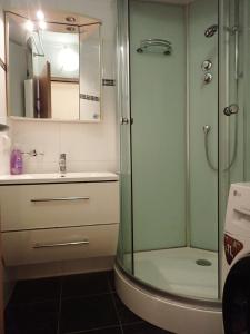 a bathroom with a shower and a sink at Ferienwohnungen Lend 3 in Lend