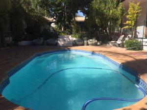 a large blue swimming pool in a yard at Blommenberg Guest House in Clanwilliam