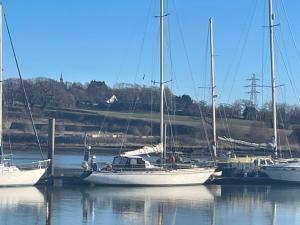 three sailboats are docked in a marina at No 28 cosy cottage in the heart of Cowes in Cowes