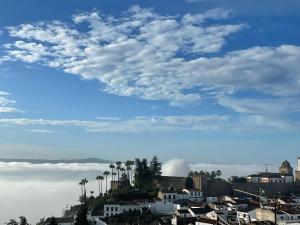 Eine Stadt mit Palmen und einem wolkigen Himmel in der Unterkunft Mirador Templario in Jerez de los Caballeros