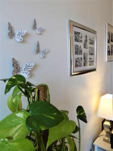 Una habitación con una planta y mariposas en la pared. en Le Clos Pichot - Studio avec balcon, parking privé - 5mn Gare, en Chartres 12 fotos más
