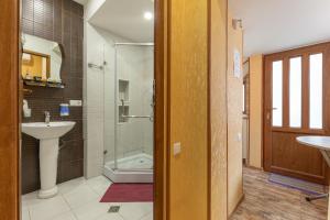 a bathroom with a shower and a sink and a toilet at Apartments with wine cellar in Old Tbilisi in Tbilisi City +142 photos