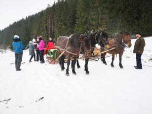 a group of people being pulled by horses in the snow at Arboretum Guesthouse in Şoimeni