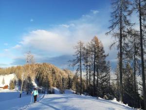 冬天的Chalet Dreibubenhaus.