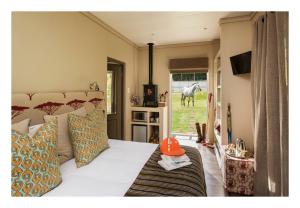 1 dormitorio con 1 cama con un caballo por la ventana en Oaklands Farm Stay, en Van Reenen