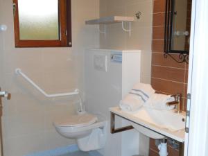 łazienka z toaletą i umywalką w obiekcie Chalets à 10 minutes de Foix w mieście Mercus-Garrabet