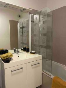 een badkamer met een wastafel en een douche bij Centre des congrès / Confort in Caluire-et-Cuire