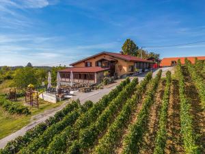 an aerial view of a vineyard and a house at 5 Sunca in Kašina