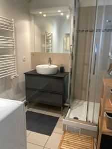een badkamer met een wastafel en een douche bij 4 pièces au Stade de France 80 m2 in Saint-Denis