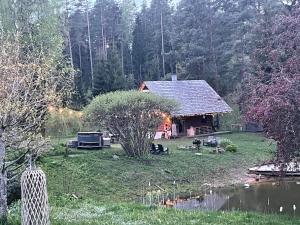 una cabaña en medio de un patio con un estanque en Viesu Nams “Noras” en Ķesterciems