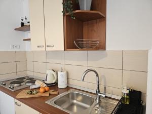 a kitchen with a sink and a counter top at Apartments Vjera Rukavac in Rukavac