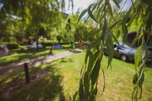 a view of a park with a car parked in the grass at Camping Casavecchia - Empty Pitch in Ledro