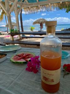 Bebidas en Studio Hibiscus Anse des rochers Saint Francois