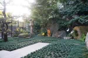 福岡的住宿－博多中洲酒店，一只狗站在花园中,靠近一些岩石
