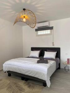 um quarto com uma cama grande e uma luz em Les Villas 400, Saint-Pierre em Saint-Pierre