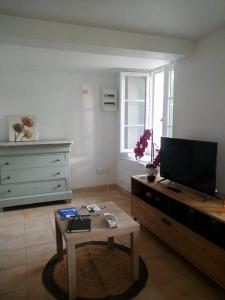 uma sala de estar com uma televisão e uma mesa de centro em Typique cabanon provençal rénové Attention escalier extérieur pour accéder au 1er étage em Gonfaron