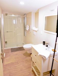 a bathroom with a toilet and a sink and a shower at Grande maison en pierre à Pomerol - 3 chambres, parking, proche Saint-Emilion in Pomerol +4 photos