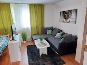 - un salon avec un canapé et une table dans l'établissement Cozy Apartments in Büdingen, à Büdingen