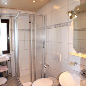 La salle de bains est pourvue d'une douche, de toilettes et d'un lavabo. dans l'établissement Schlosshof - der Urlaubsbauernhof, à Elzach