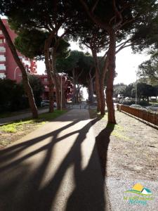 ein langer Schatten von Bäumen auf einem Bürgersteig in der Unterkunft Maremma Holidays:Pini Apartment in Follonica