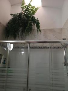 a bathroom with a shower with a potted plant at Yumbo room in Maspalomas