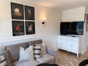 a living room with a couch and a flat screen tv at Apartament Czeremcha in Szczawnica