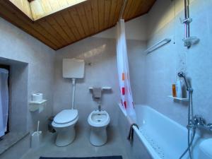 a bathroom with a toilet and a bath tub at Casetta Turati in Castelfondo