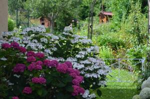 Billede fra billedgalleriet på Chambre d'Hôtes Plesnois i Plesnois