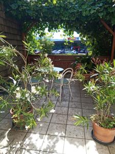een patio met een tafel, stoelen en planten bij Rooming Green Weyregg in Weyregg