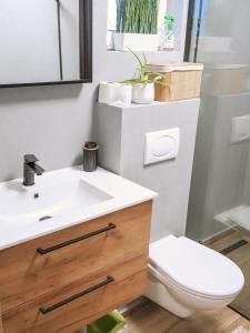 ein Badezimmer mit einem weißen Waschbecken und einem WC in der Unterkunft Ateliér Smutná in Ostrava