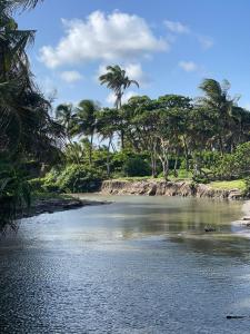 a river with palm trees on a beach at Estuary Apartment 2 in Dunfermline