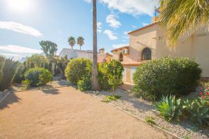 a house with a palm tree and a driveway at Villa Ebro - PlusHolidays in Ifach