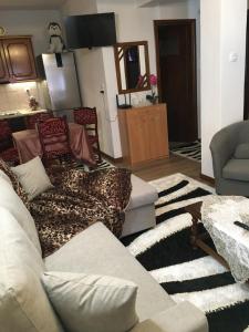 een woonkamer met een bank, stoelen en een tafel bij AGAPI’S HOUSE in Metsovo