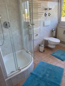 a bathroom with a shower and a toilet with blue rugs at Kays Home in Bad Wörishofen