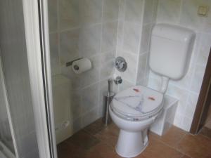 a bathroom with a toilet and a shower at Fewo An der alten Stadtmauer in Blankenburg