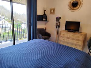 a bedroom with a bed and a tv and a window at Les goélands in Perros-Guirec