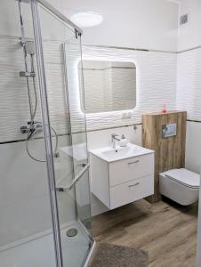 a bathroom with a shower and a sink and a toilet at Apartament Leomar, bezkontaktowe zameldowanie, darmowy parking in Poznań