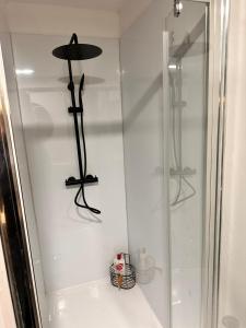 a shower in a bathroom with a glass door at Appartement Couteliers-Centre ville-4pers in Moulins