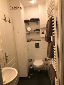 een kleine badkamer met een toilet en een wastafel bij Iflands Hof in Brehme