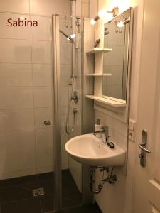 een badkamer met een wastafel en een douche met een spiegel bij Iflands Hof in Brehme