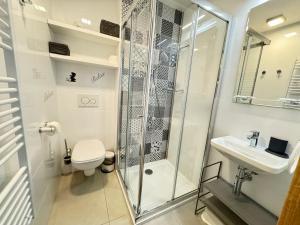 a bathroom with a shower and a toilet and a sink at Dolní Morava - Apartmány in Dolní Morava