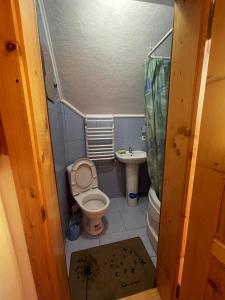 a small bathroom with a toilet and a sink at Дикий Ліс in Yaremche