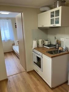 Kuchyňa alebo kuchynka v ubytovaní Palmy Apartmanhouse Maglód