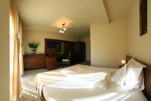 Billede fra billedgalleriet på Pension Passion i Târgu-Mureş + 16 billeder